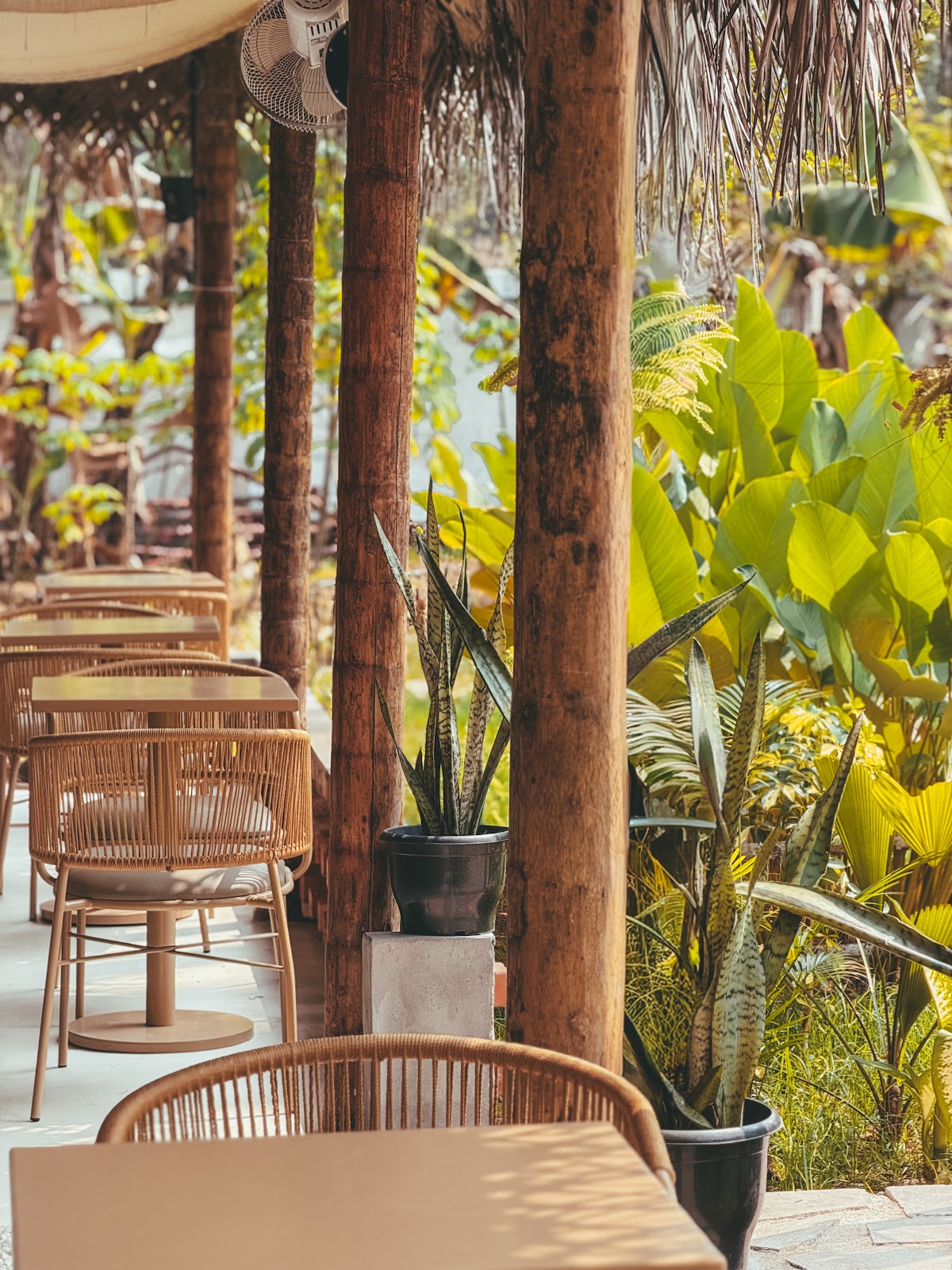 Cafe Mimosa