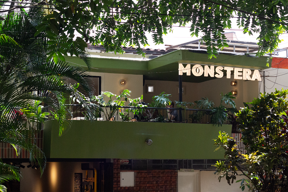 Monstera