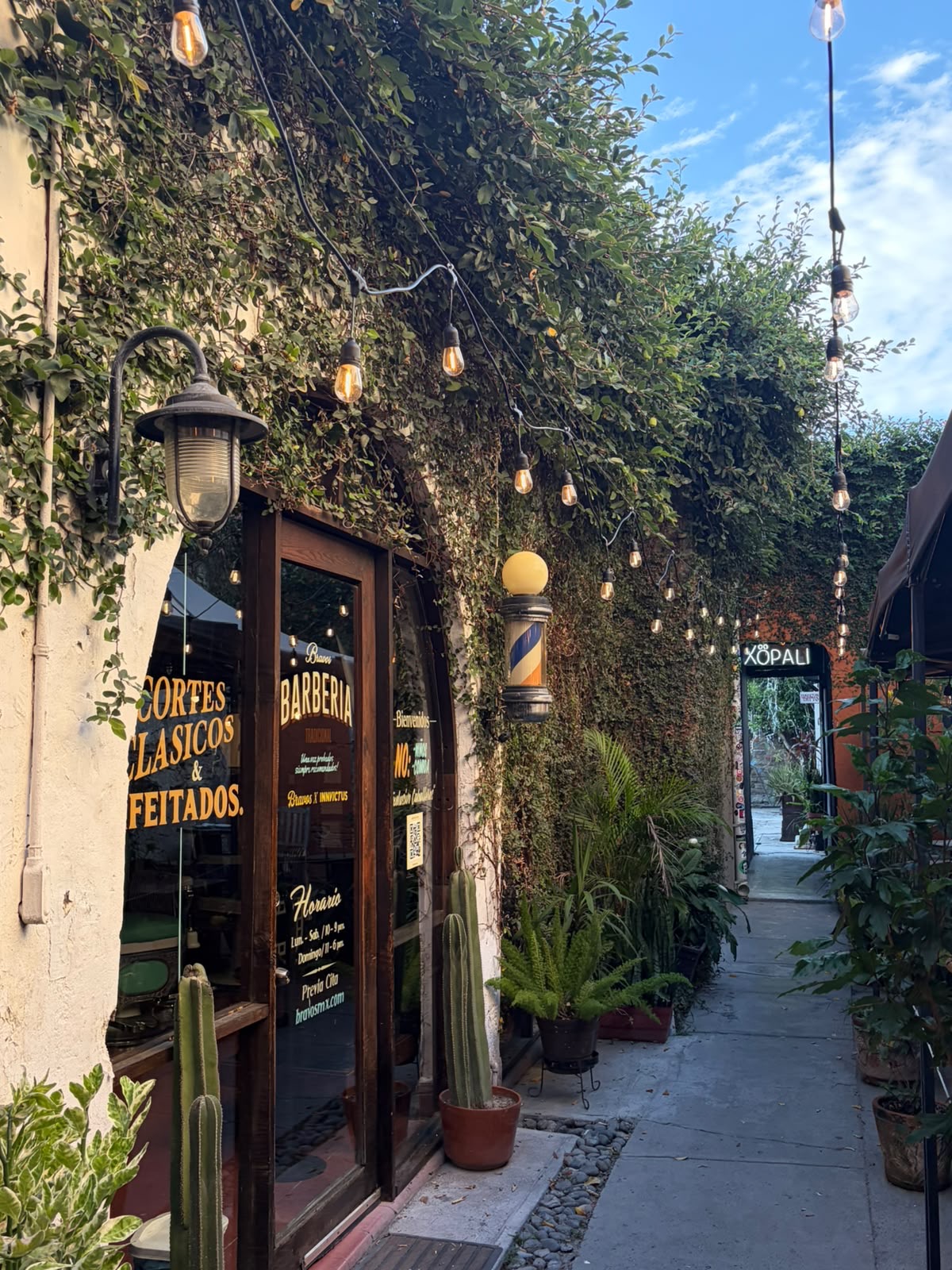 Seabird Coffee Shop